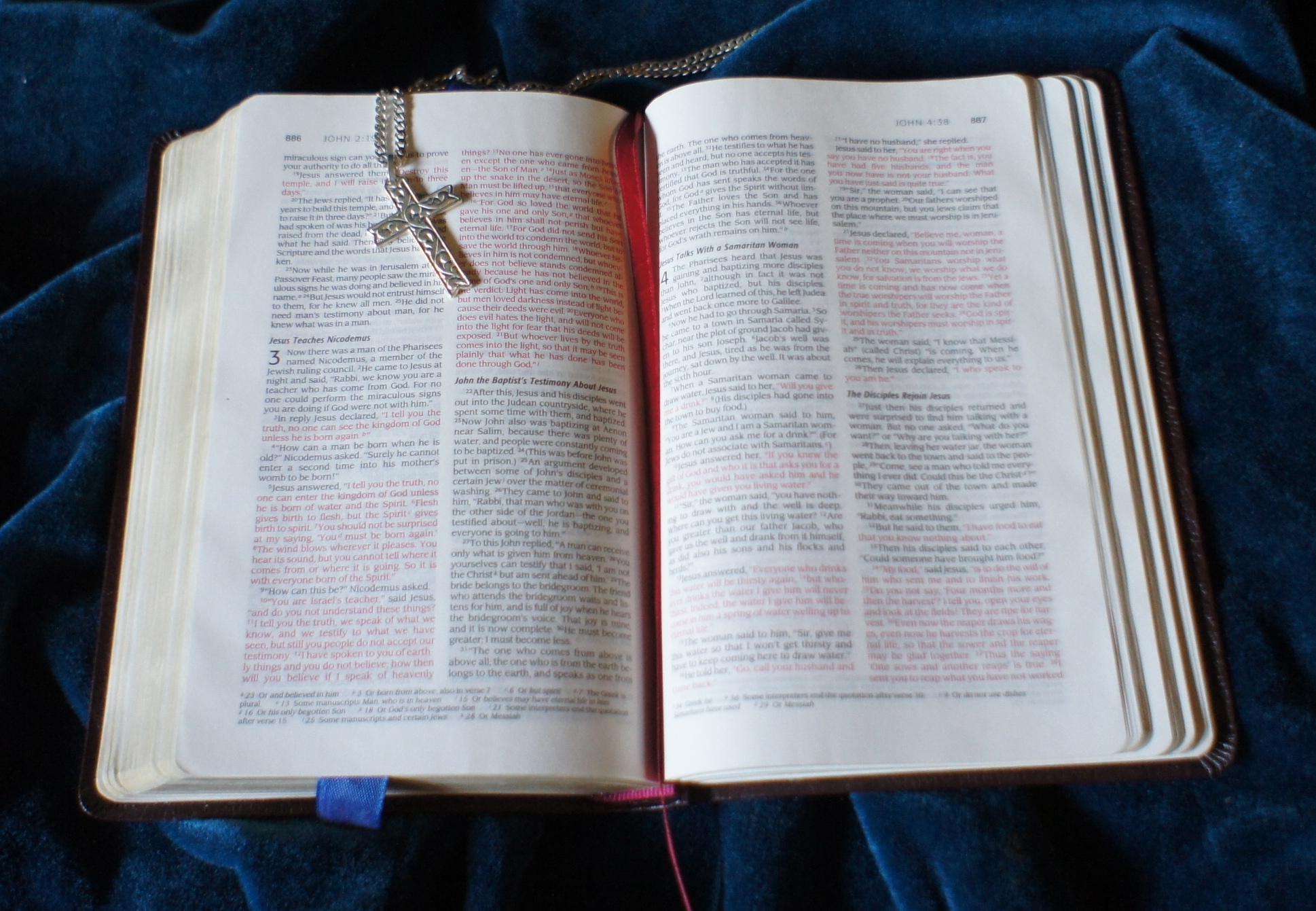 Open Bible